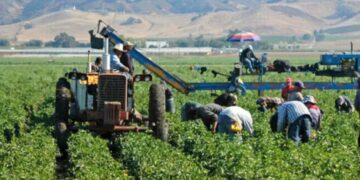 La Agricultura Estadounidense en Crisis: ¿Qué Significa la Llegada de Donald Trump?