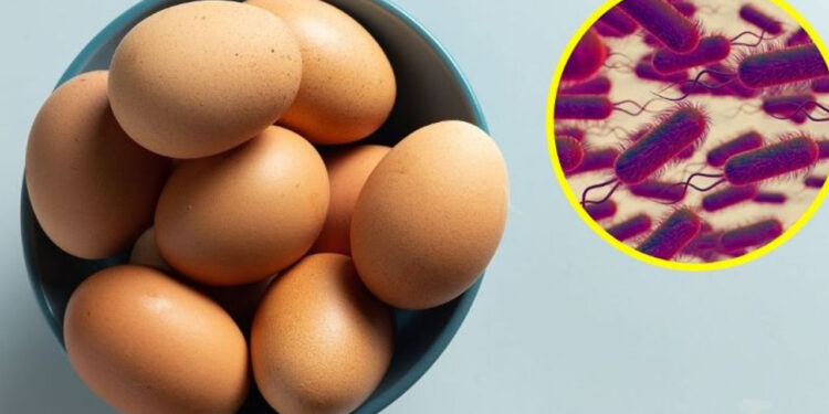 Emiten urgente ALERTA SANITARIA por 6 marcas de HUEVO que no deben consumirse, están contaminadas con salmonela
