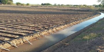 Productores buscan alternativas para optimizar recursos hídricos