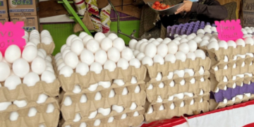 ¿Por qué sigue subiendo el precio del huevo?, las marcas más caras en México reveladas por la Profeco