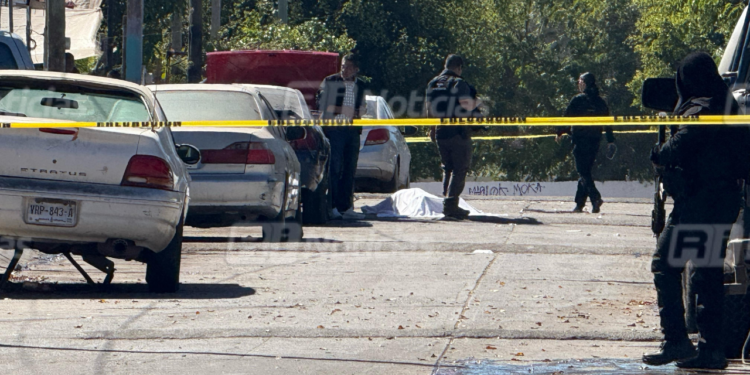 Balacera de ayer en Santa Fe es algo que nos lastima como sociedad: Estrella Palacios