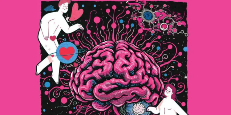 Te amo con todo mi cerebro”; flechazo, química pura