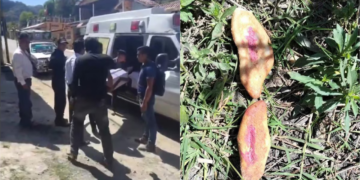 Confirman dos detenidos por la muerte de tres niños que comieron pan envenado en Chiapas