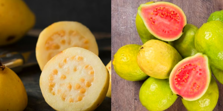 Semillas de guayaba: Un remedio natural para el estreñimiento y la salud digestiva