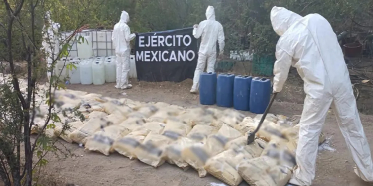 Operación Frontera Norte: suman 746 detenidos y 705 armas aseguradas