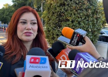 Camarón de exportación alcanza los 140 pesos, pero depende del precio del mercado: Flor Emilia Guerra