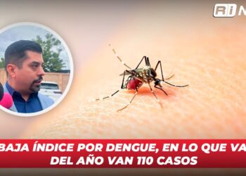 Baja índice por dengue, en lo que va del año van 110 casos