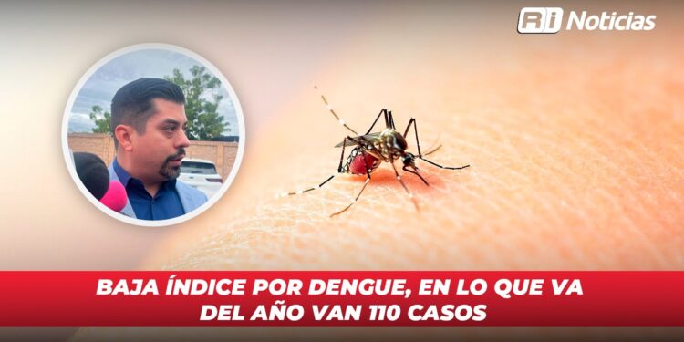 Baja índice por dengue, en lo que va del año van 110 casos