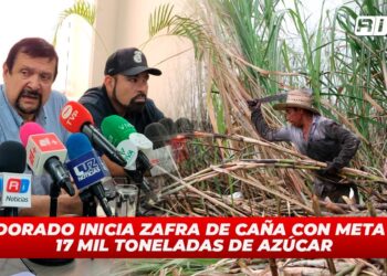 Eldorado inicia zafra de caña con meta de 17 mil toneladas de azúcar