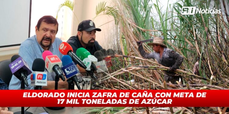 Eldorado inicia zafra de caña con meta de 17 mil toneladas de azúcar