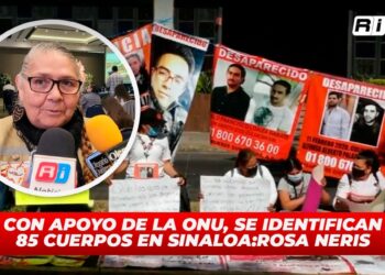Con apoyo de la ONU, se identifican 85 cuerpos en Sinaloa:Rosa Neris