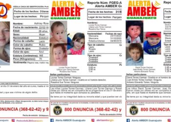 Desaparece mujer estadounidense junto con sus seis hijos en Guanajuato; autoridades emiten fichas de búsqueda