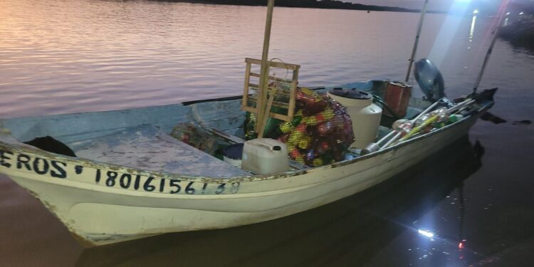 Retienen más de 86 toneladas de producto pesquero ilegal en 17 estados