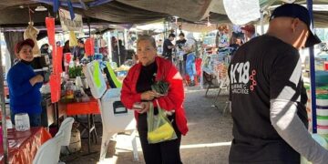 Se instala el 50% el tianguis del fraccionamiento Laurel Espino