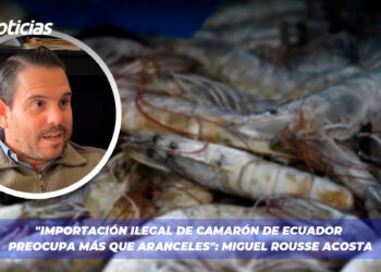 “Importación ilegal de Camarón de Ecuador preocupa más que Aranceles”: Miguel Rousse Acosta