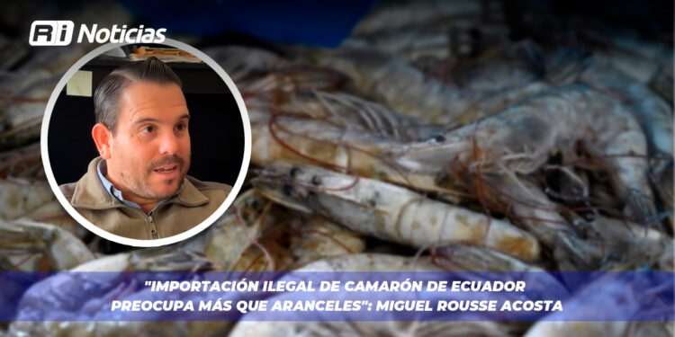 “Importación ilegal de Camarón de Ecuador preocupa más que Aranceles”: Miguel Rousse Acosta