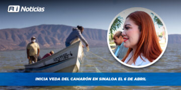 Inicia veda del camarón en Sinaloa el 6 de abril