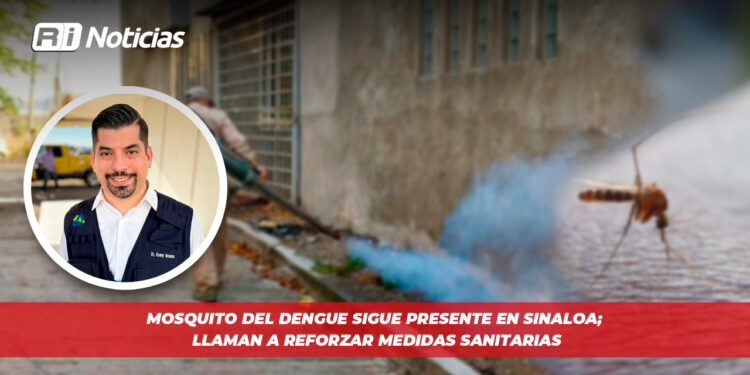 Mosquito del dengue sigue presente en Sinaloa; llaman a reforzar medidas sanitarias