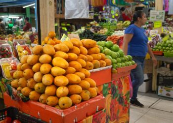 Incrementos en precios de la canasta básica durante la primera semana de febrero