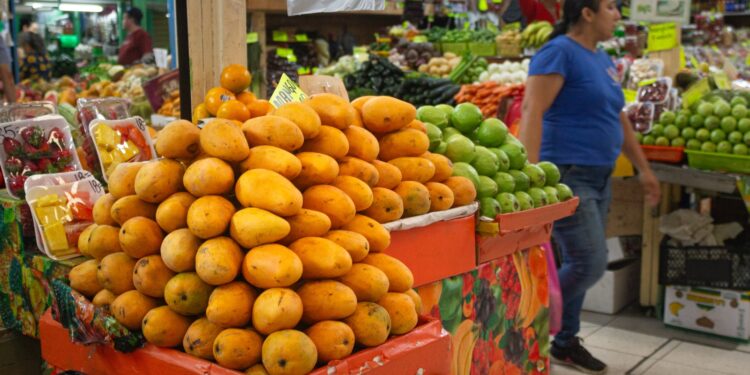 Incrementos en precios de la canasta básica durante la primera semana de febrero