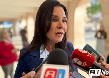 Colecta de árboles naturales de Navidad no ha sido la esperada: Servicios Públicos