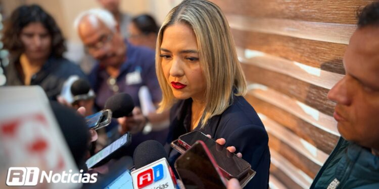 Puente de la Colosio quedaría listo para mediados de abril: Estrella Palacios