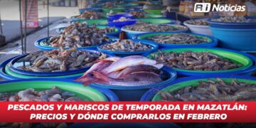Pescados y mariscos de temporada en Mazatlán: precios y dónde comprarlos en febrero
