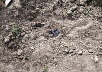 Localizan cuerpo semienterrado en el Ejido El Alhuate, Culiacán