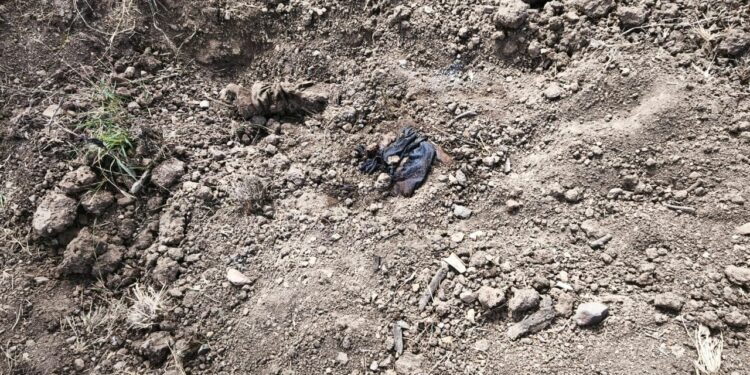 Localizan cuerpo semienterrado en el Ejido El Alhuate, Culiacán