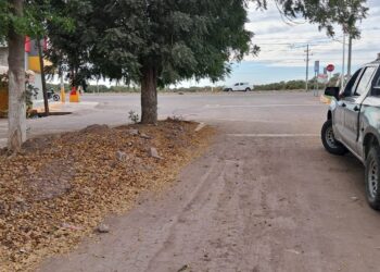 Localizan artefacto explosivo en el Ejido Canan al sur de Culiacán