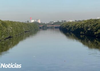 Gobierno de Mazatlán va por limpieza de manglares; hoy fue el Infiernillo