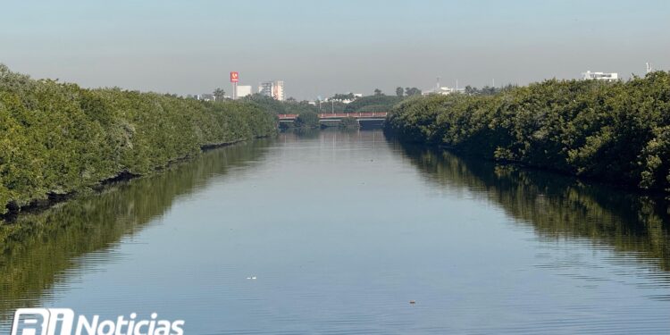 Gobierno de Mazatlán va por limpieza de manglares; hoy fue el Infiernillo