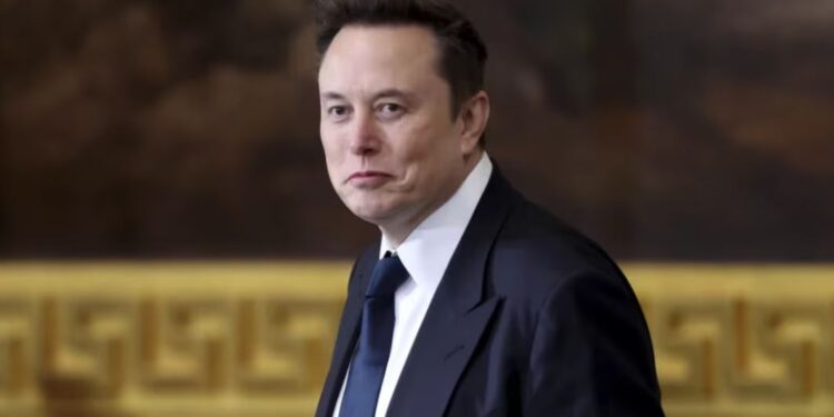 Trump revela nueva “tarea” de Elon Musk; ayudará a descubrir fraudes multimillonarios contra el gobierno