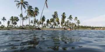 Cierre temporal precautorio en La Lechuguilla y Teacapán por Saxitoxina
