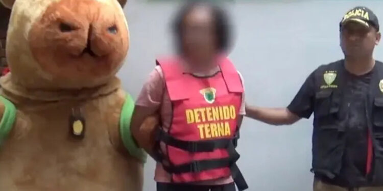 El Capibarismo: Policía de Perú se disfraza de capibara para atrapar criminal