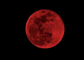 Eclipse lunar total: cuándo será visible la Luna de Sangre en marzo