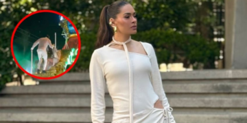 Galilea Montijo sufre CAÍDA al bajar de carro alegórico en el carnaval de Mazatlán