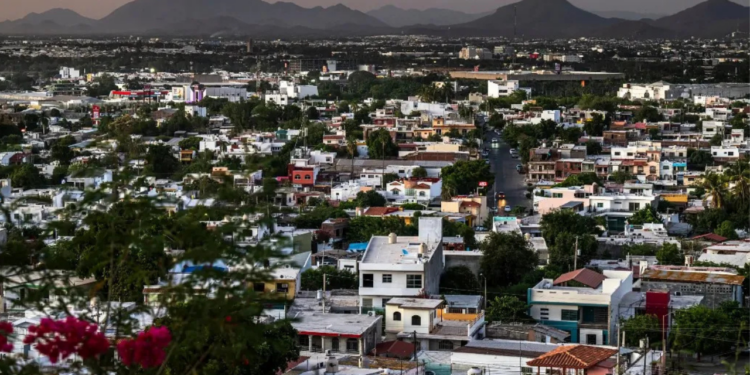 Podcast del NYT refiere que ya no hay laboratorios de fentanilo en Sinaloa