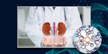 Esta vitamina es esencial para el cuidado y mantenimiento de los riñones