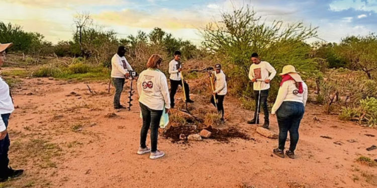 Gobierno busca con tecnología láser y 3D a desaparecidos