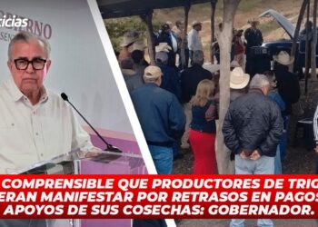 Muy comprensible que productores de trigo se quieran manifestar por retrasos en pagos de apoyos de sus cosechas: Gobernador.