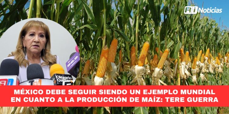 México debe seguir siendo un ejemplo mundial en cuanto a la producción de maíz: Tere Guerra