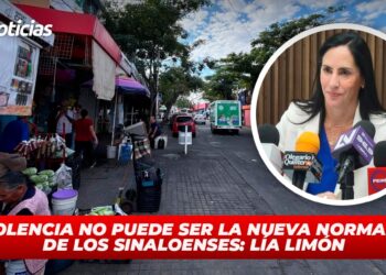 La violencia no puede ser la nueva normalidad de los sinaloenses: Lía Limón