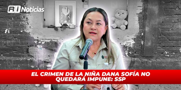 Fueron seis viviendas vandalizadas este martes en distintos sectores de Culiacán: SSP