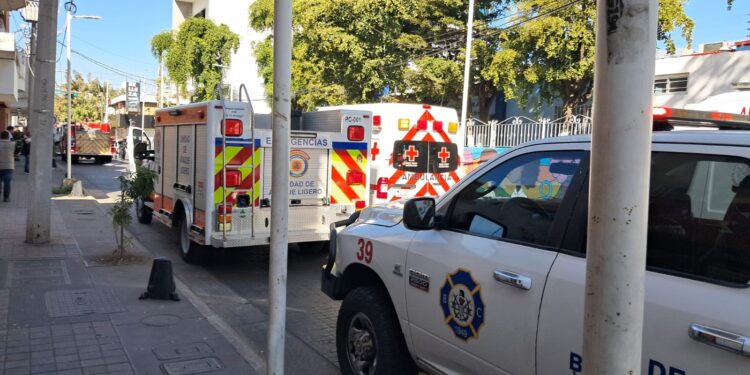 Ataque de abejas en secundaria deja 21 estudiantes lesionadas