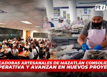 Empacadoras Artesanales de Mazatlán consolidan su cooperativa y avanzan en nuevos proyectos