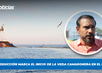 Baja producción marca el inicio de la veda camaronera en el Pacífico