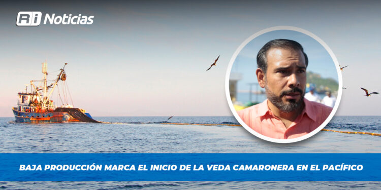 Baja producción marca el inicio de la veda camaronera en el Pacífico