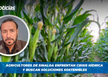 Agricultores de Sinaloa enfrentan crisis hídrica y buscan soluciones sostenibles