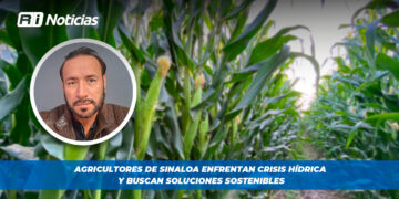 Agricultores de Sinaloa enfrentan crisis hídrica y buscan soluciones sostenibles